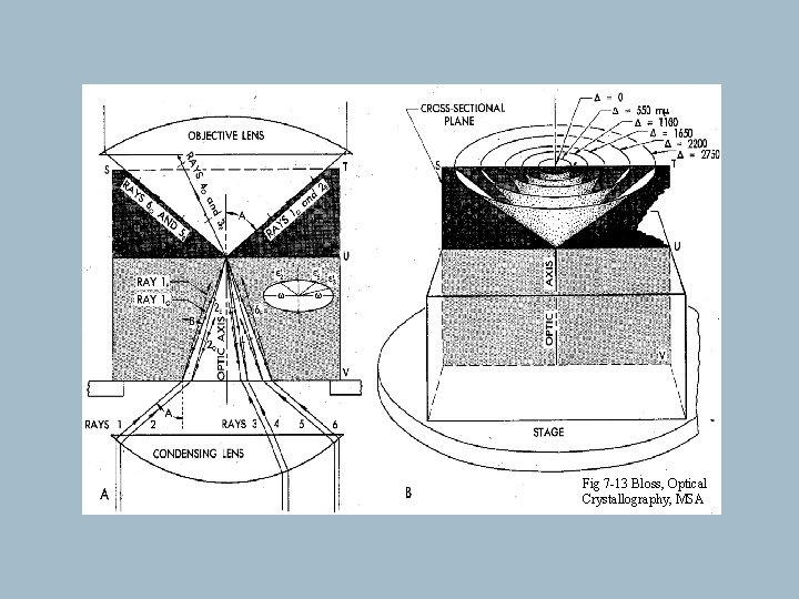 Fig 7 -13 Bloss, Optical Crystallography, MSA Fig 7 -13 Bloss, Optical Crystallography, MSA