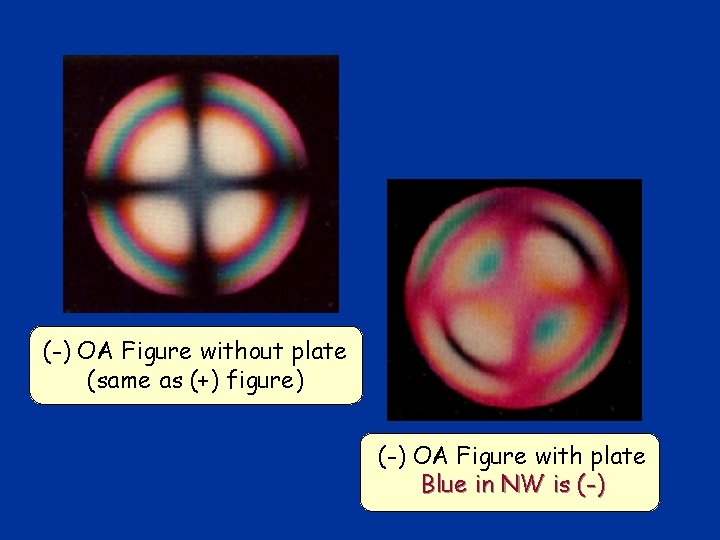 (-) OA Figure without plate (same as (+) figure) (-) OA Figure with plate (-) OA Figure without plate (same as (+) figure) (-) OA Figure with plate