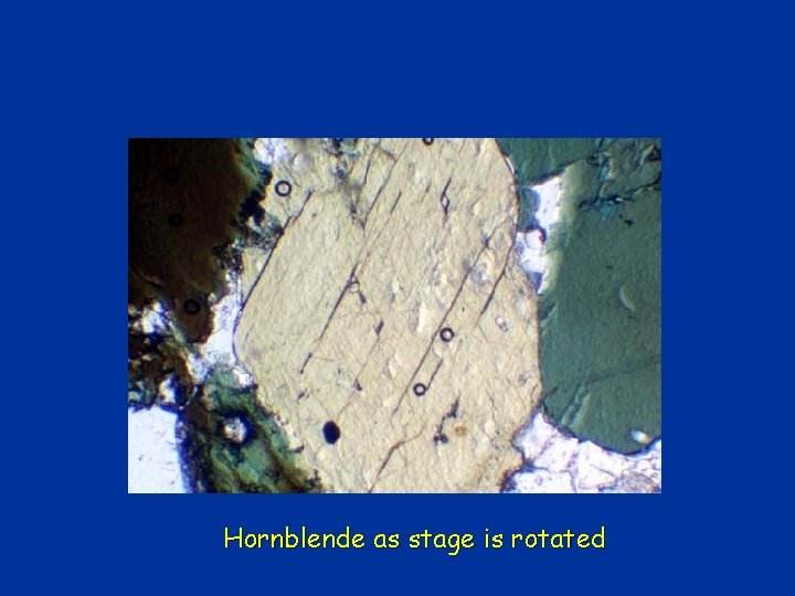 Hornblende as stage is rotated Hornblende as stage is rotated