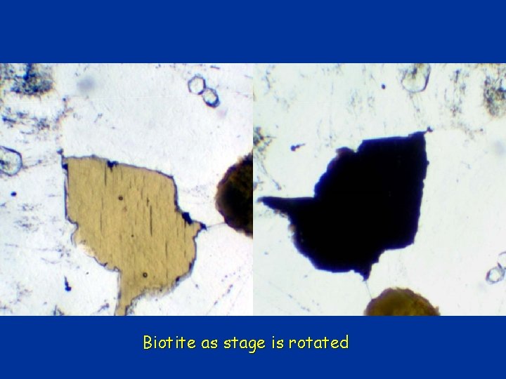 Biotite as stage is rotated Biotite as stage is rotated