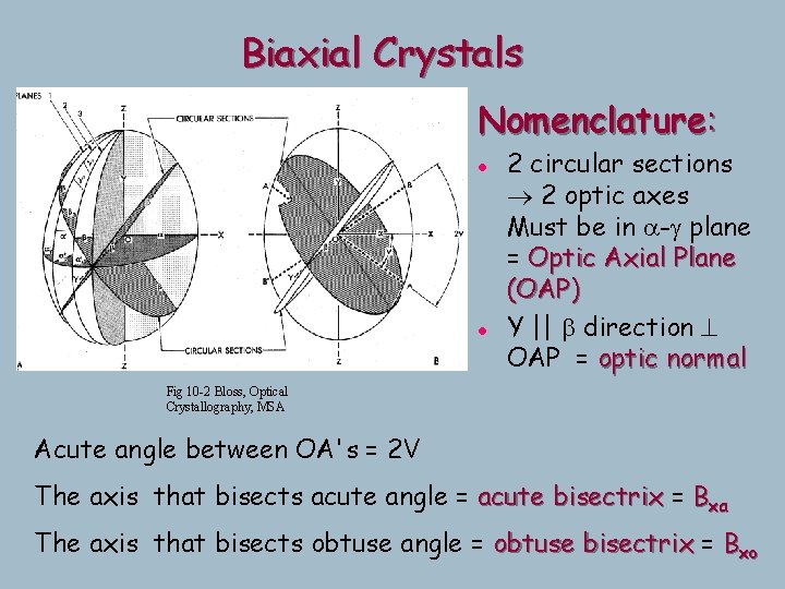Biaxial Crystals Nomenclature: l l 2 circular sections 2 optic axes Must be in Biaxial Crystals Nomenclature: l l 2 circular sections 2 optic axes Must be in