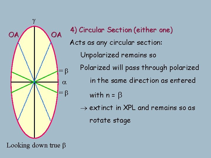 g OA OA 4) Circular Section (either one) Acts as any circular section: Unpolarized g OA OA 4) Circular Section (either one) Acts as any circular section: Unpolarized