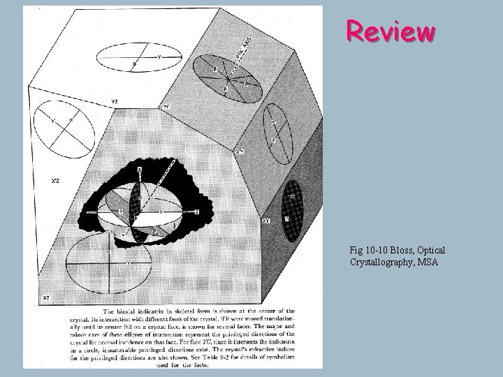 Review Fig 10 -10 Bloss, Optical Crystallography, MSA Review Fig 10 -10 Bloss, Optical Crystallography, MSA