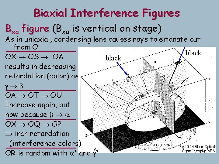 Biaxial Interference Figures Bxa figure (Bxa is vertical on stage) As in uniaxial, condensing Biaxial Interference Figures Bxa figure (Bxa is vertical on stage) As in uniaxial, condensing