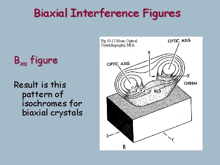 Biaxial Interference Figures Fig 10 -15 Bloss, Optical Crystallography, MSA Bxa figure Result is Biaxial Interference Figures Fig 10 -15 Bloss, Optical Crystallography, MSA Bxa figure Result is