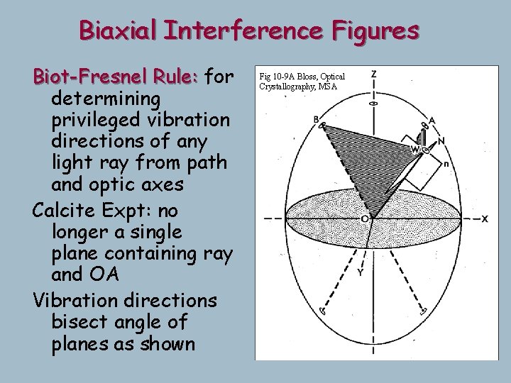 Biaxial Interference Figures Biot-Fresnel Rule: for determining privileged vibration directions of any light ray Biaxial Interference Figures Biot-Fresnel Rule: for determining privileged vibration directions of any light ray
