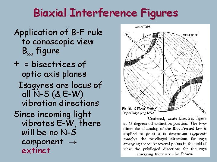 Biaxial Interference Figures Application of B-F rule to conoscopic view Bxa figure + = Biaxial Interference Figures Application of B-F rule to conoscopic view Bxa figure + =