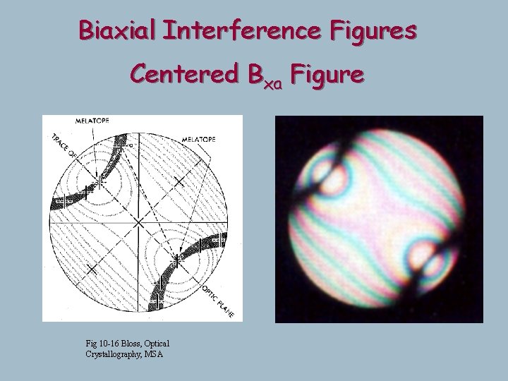 Biaxial Interference Figures Centered Bxa Figure Fig 10 -16 Bloss, Optical Crystallography, MSA Biaxial Interference Figures Centered Bxa Figure Fig 10 -16 Bloss, Optical Crystallography, MSA