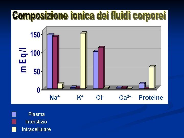 Na+ Plasma Interstizio Intracellulare K+ Cl- Ca 2+ Proteine 