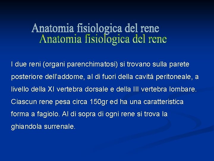 I due reni (organi parenchimatosi) si trovano sulla parete posteriore dell’addome, al di fuori