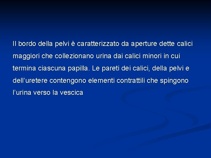 Il bordo della pelvi è caratterizzato da aperture dette calici maggiori che collezionano urina