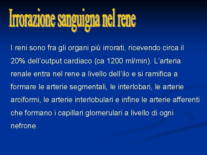 I reni sono fra gli organi più irrorati, ricevendo circa il 20% dell’output cardiaco