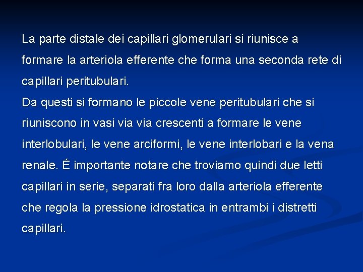 La parte distale dei capillari glomerulari si riunisce a formare la arteriola efferente che