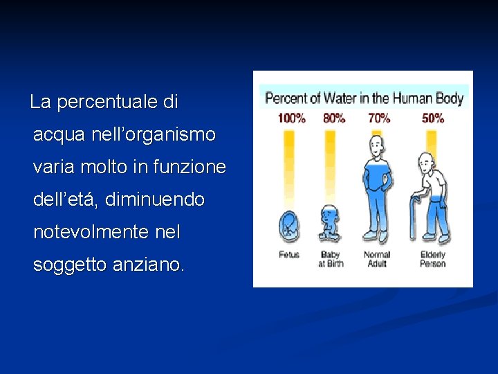 La percentuale di acqua nell’organismo varia molto in funzione dell’etá, diminuendo notevolmente nel soggetto