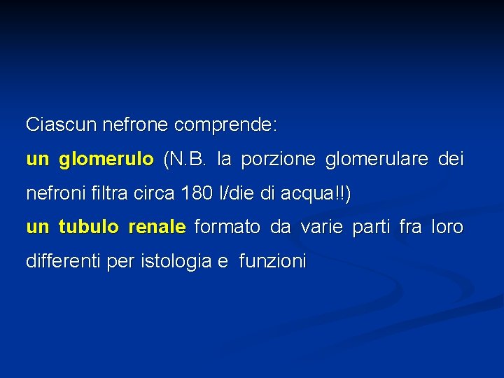 Ciascun nefrone comprende: un glomerulo (N. B. la porzione glomerulare dei nefroni filtra circa