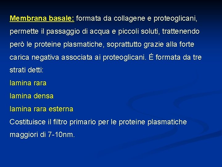 Membrana basale: formata da collagene e proteoglicani, permette il passaggio di acqua e piccoli