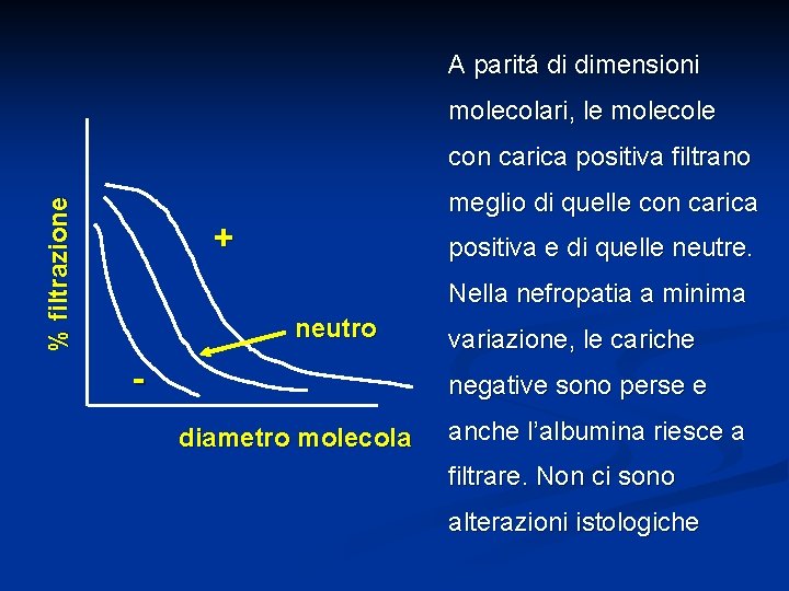 A paritá di dimensioni molecolari, le molecole % filtrazione con carica positiva filtrano meglio