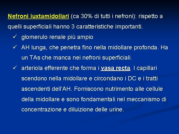 Nefroni iuxtamidollari (ca 30% di tutti i nefroni): rispetto a quelli superficiali hanno 3