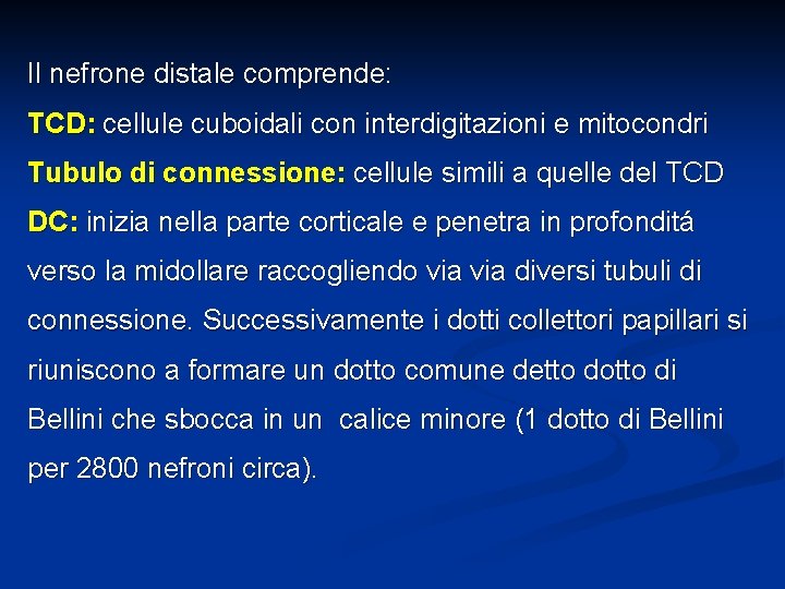 Il nefrone distale comprende: TCD: cellule cuboidali con interdigitazioni e mitocondri Tubulo di connessione: