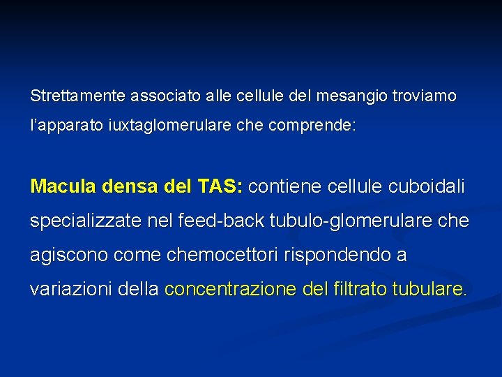 Strettamente associato alle cellule del mesangio troviamo l’apparato iuxtaglomerulare che comprende: Macula densa del