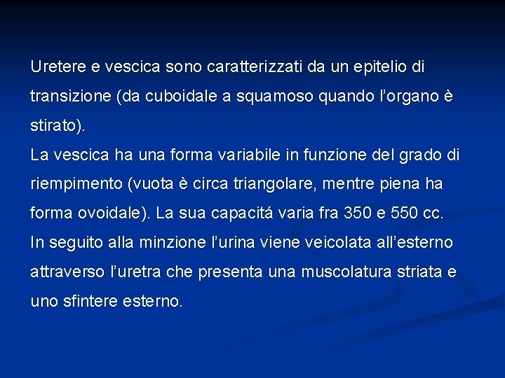 Uretere e vescica sono caratterizzati da un epitelio di transizione (da cuboidale a squamoso