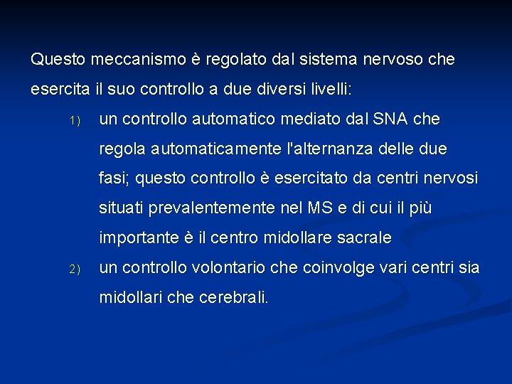 Questo meccanismo è regolato dal sistema nervoso che esercita il suo controllo a due