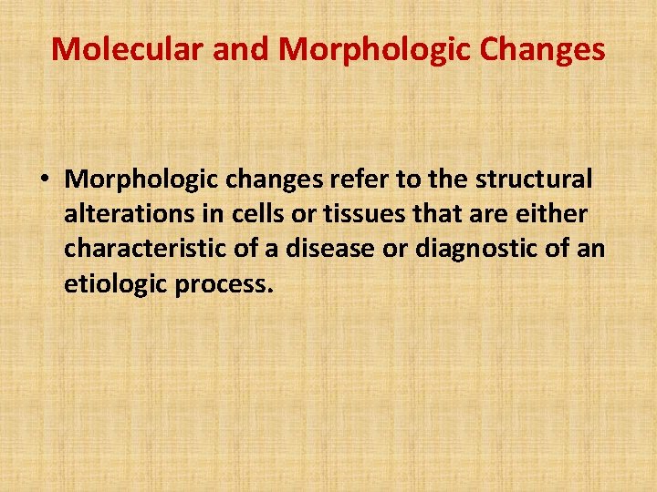 Molecular and Morphologic Changes • Morphologic changes refer to the structural alterations in cells