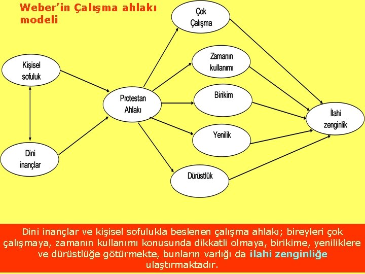 Weber’in Çalışma ahlakı modeli Dini inançlar ve kişisel sofulukla beslenen çalışma ahlakı; bireyleri çok