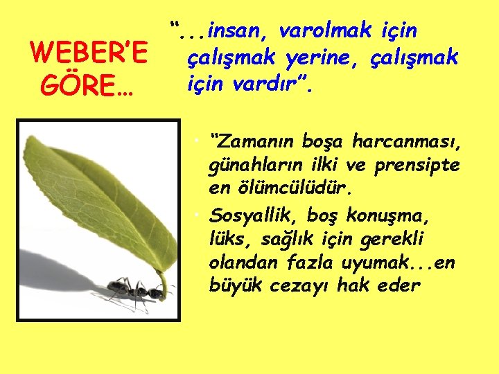 WEBER’E GÖRE… “. . . insan, varolmak için çalışmak yerine, çalışmak için vardır”. •