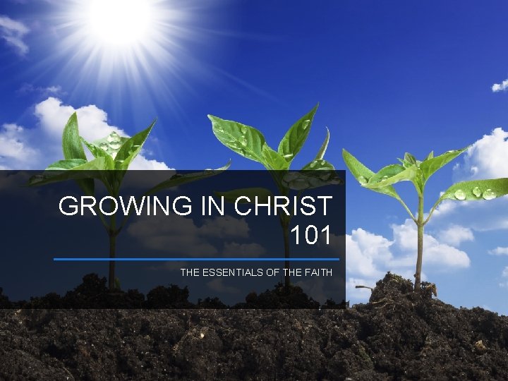 GROWING IN CHRIST 101 THE ESSENTIALS OF THE FAITH 
