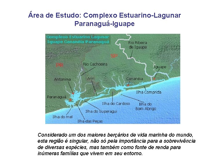 Área de Estudo: Complexo Estuarino-Lagunar Paranaguá-Iguape Considerado um dos maiores berçários de vida marinha