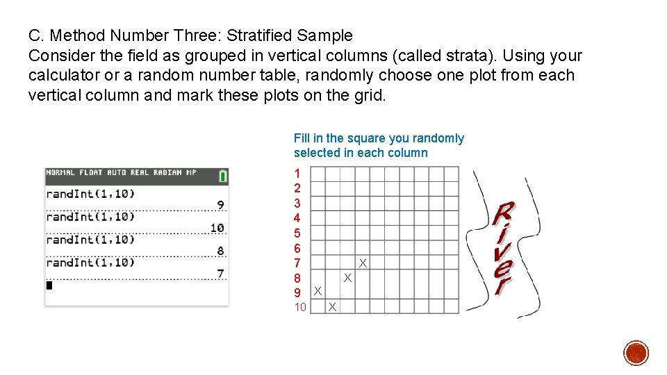 C. Method Number Three: Stratified Sample Consider the field as grouped in vertical columns C. Method Number Three: Stratified Sample Consider the field as grouped in vertical columns