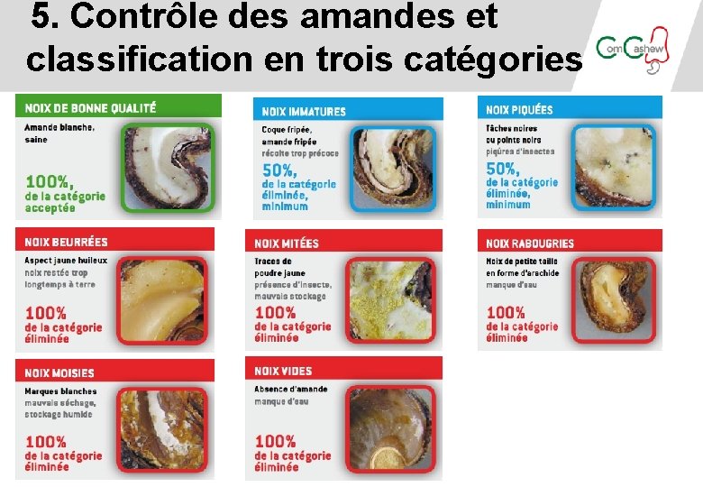 5. Contrôle des amandes et classification en trois catégories 5. Contrôle des amandes et classification en trois catégories