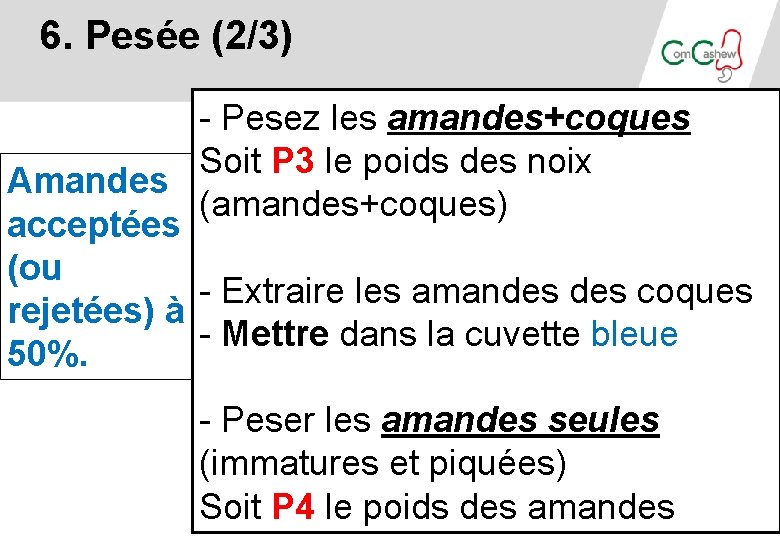 6. Pesée (2/3) - Pesez les amandes+coques Soit P 3 le poids des noix 6. Pesée (2/3) - Pesez les amandes+coques Soit P 3 le poids des noix