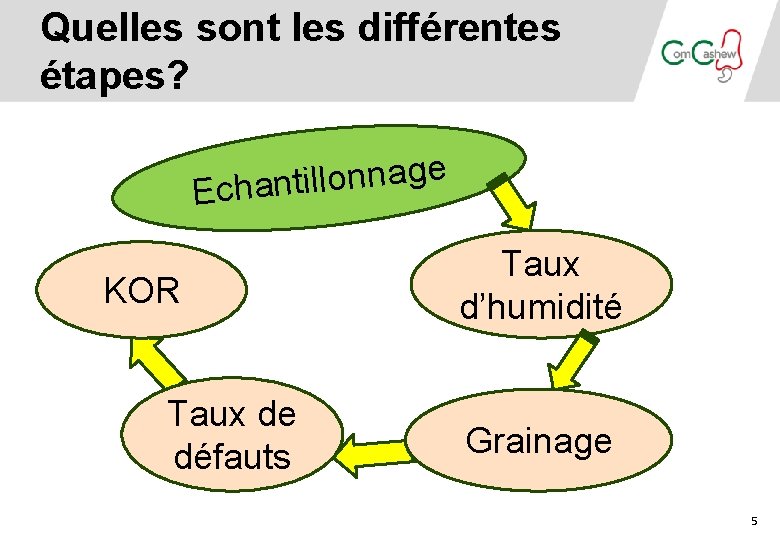 Quelles sont les différentes étapes? e g a n n o l l i Quelles sont les différentes étapes? e g a n n o l l i