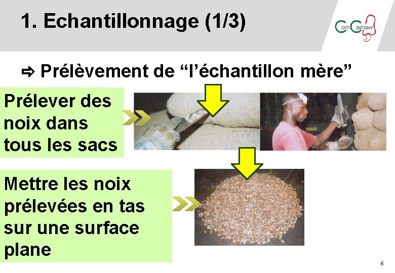 1. Echantillonnage (1/3) Prélèvement de “l’échantillon mère” Prélever des noix dans tous les sacs 1. Echantillonnage (1/3) Prélèvement de “l’échantillon mère” Prélever des noix dans tous les sacs
