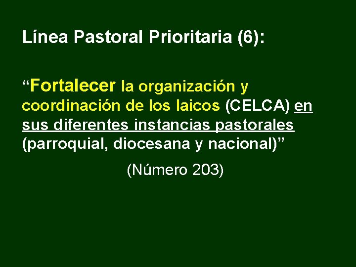 Línea Pastoral Prioritaria (6): “Fortalecer la organización y coordinación de los laicos (CELCA) en