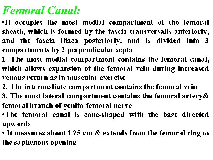 Femoral Canal: • It occupies the most medial compartment of the femoral sheath, which