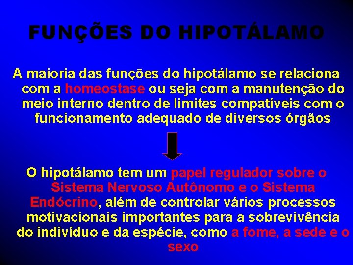 FUNÇÕES DO HIPOTÁLAMO A maioria das funções do hipotálamo se relaciona com a homeostase