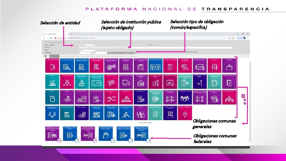 Selección de entidad Selección de Institución pública (sujeto obligado) Selección tipo de obligación (común/especifica)