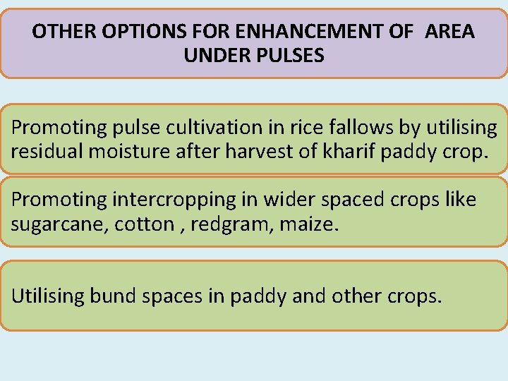 OTHER OPTIONS FOR ENHANCEMENT OF AREA UNDER PULSES Promoting pulse cultivation in rice fallows