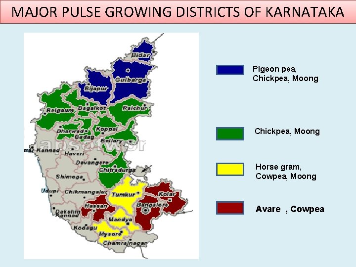 MAJOR PULSE GROWING DISTRICTS OF KARNATAKA Pigeon pea, Chickpea, Moong Horse gram, Cowpea, Moong