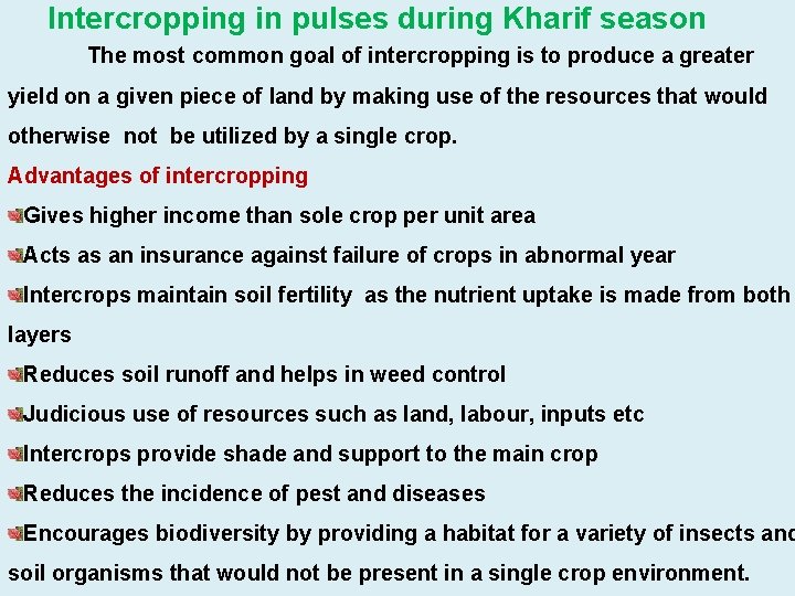 Intercropping in pulses during Kharif season The most common goal of intercropping is to