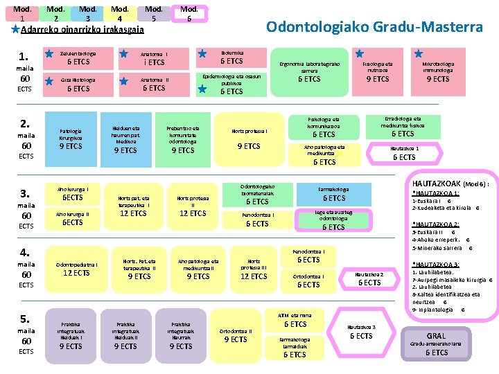 Mod. 1 Mod. 2 Mod. 3 Mod. 4 Adarreko oinarrizko irakasgaia 1. maila 60