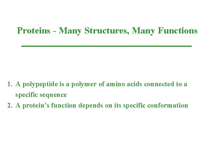 Proteins - Many Structures, Many Functions 1. A polypeptide is a polymer of amino