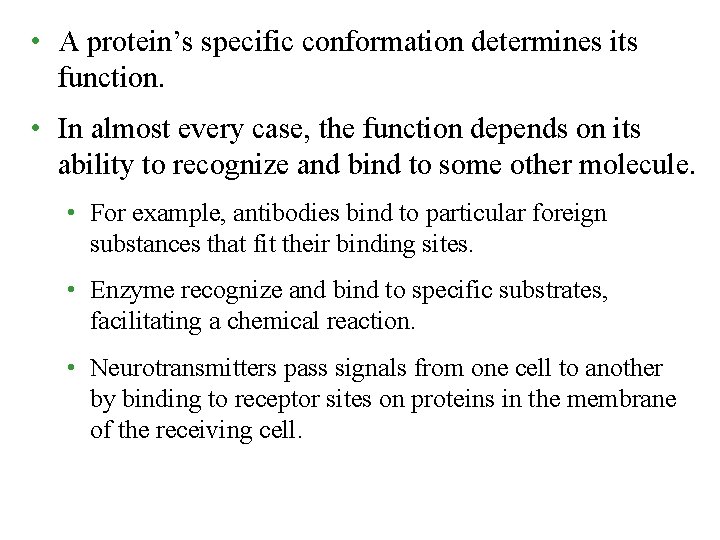  • A protein’s specific conformation determines its function. • In almost every case,