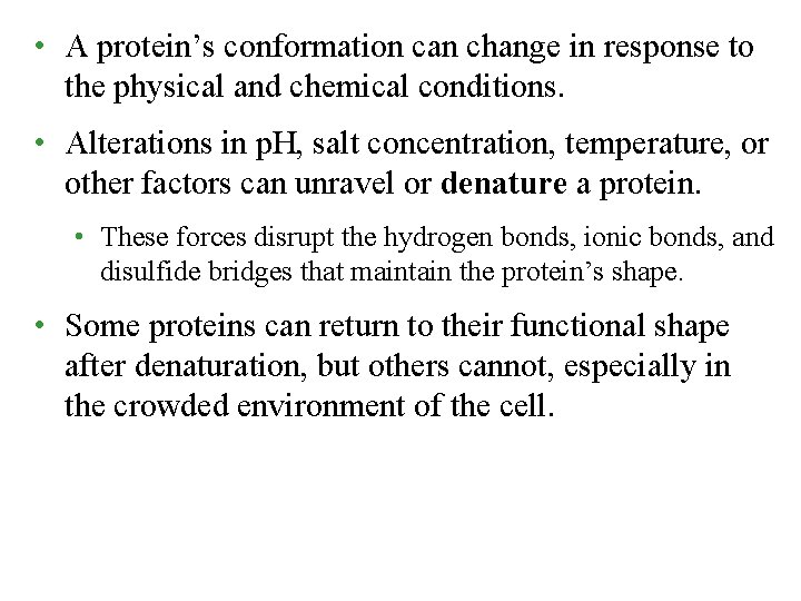  • A protein’s conformation can change in response to the physical and chemical