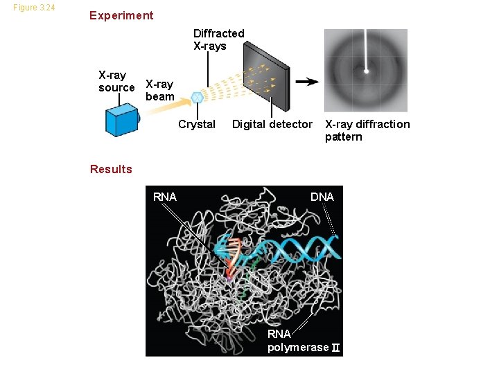 Figure 3. 24 Experiment Diffracted X-rays X-ray source X-ray beam Crystal Digital detector X-ray