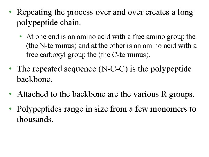  • Repeating the process over and over creates a long polypeptide chain. •