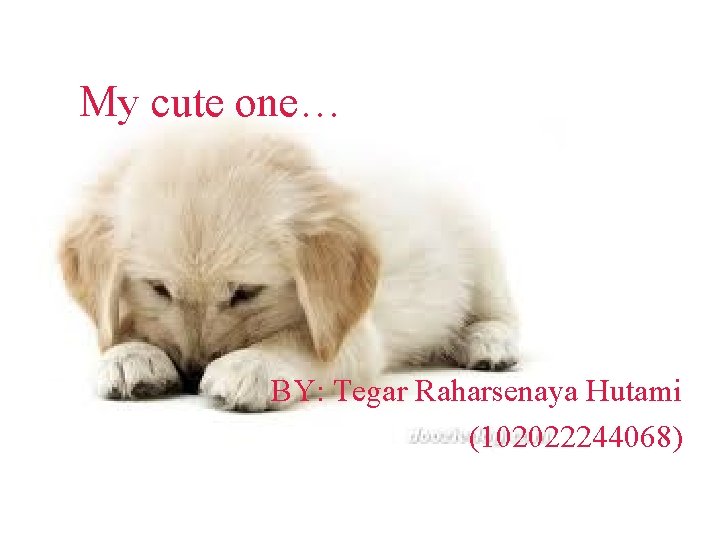 My cute one… BY: Tegar Raharsenaya Hutami (102022244068) 